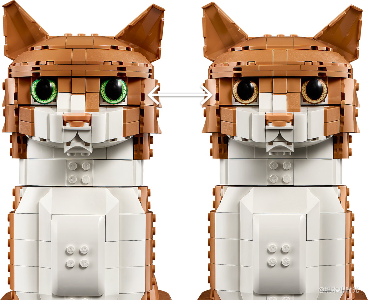 乐高 21376 橙色的猫