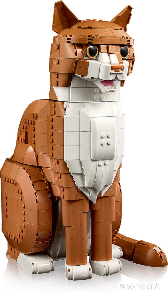 乐高 21376 橙色的猫