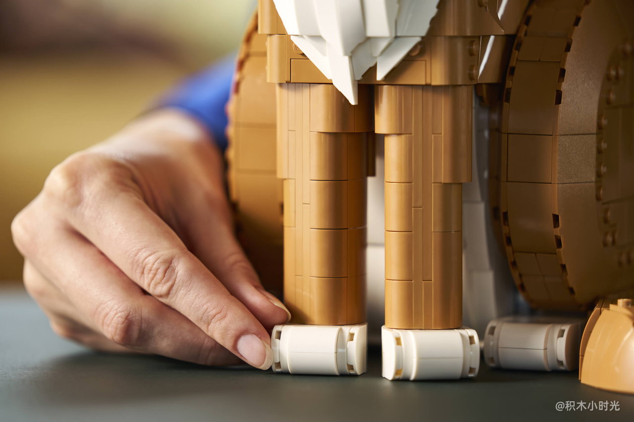 乐高 21376 橙色的猫