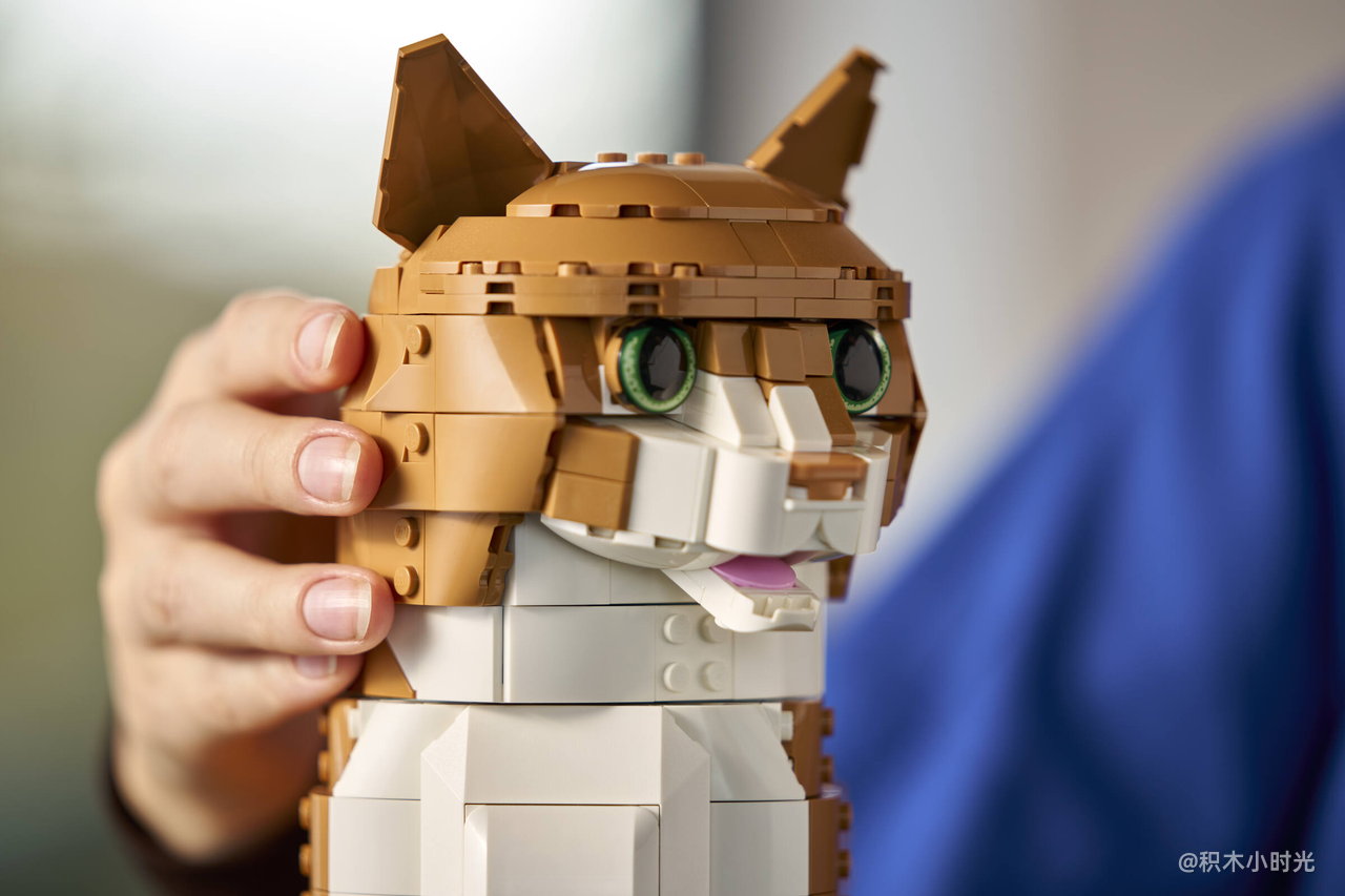 乐高 21376 橙色的猫