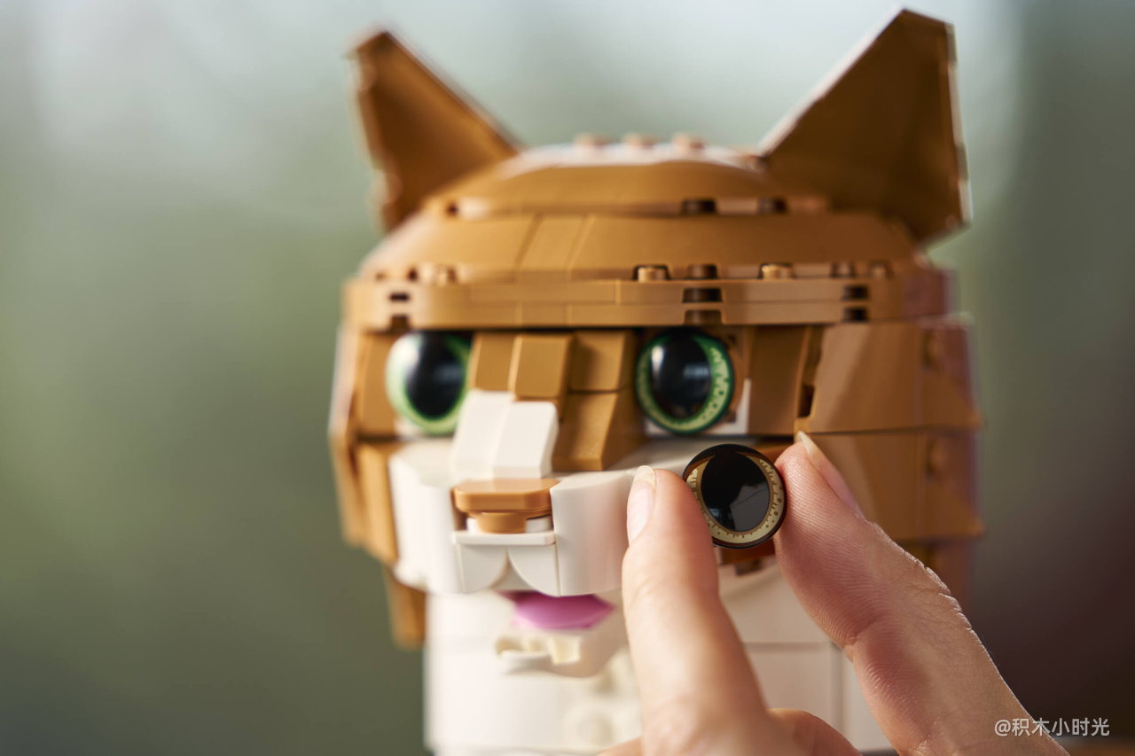 乐高 21376 橙色的猫