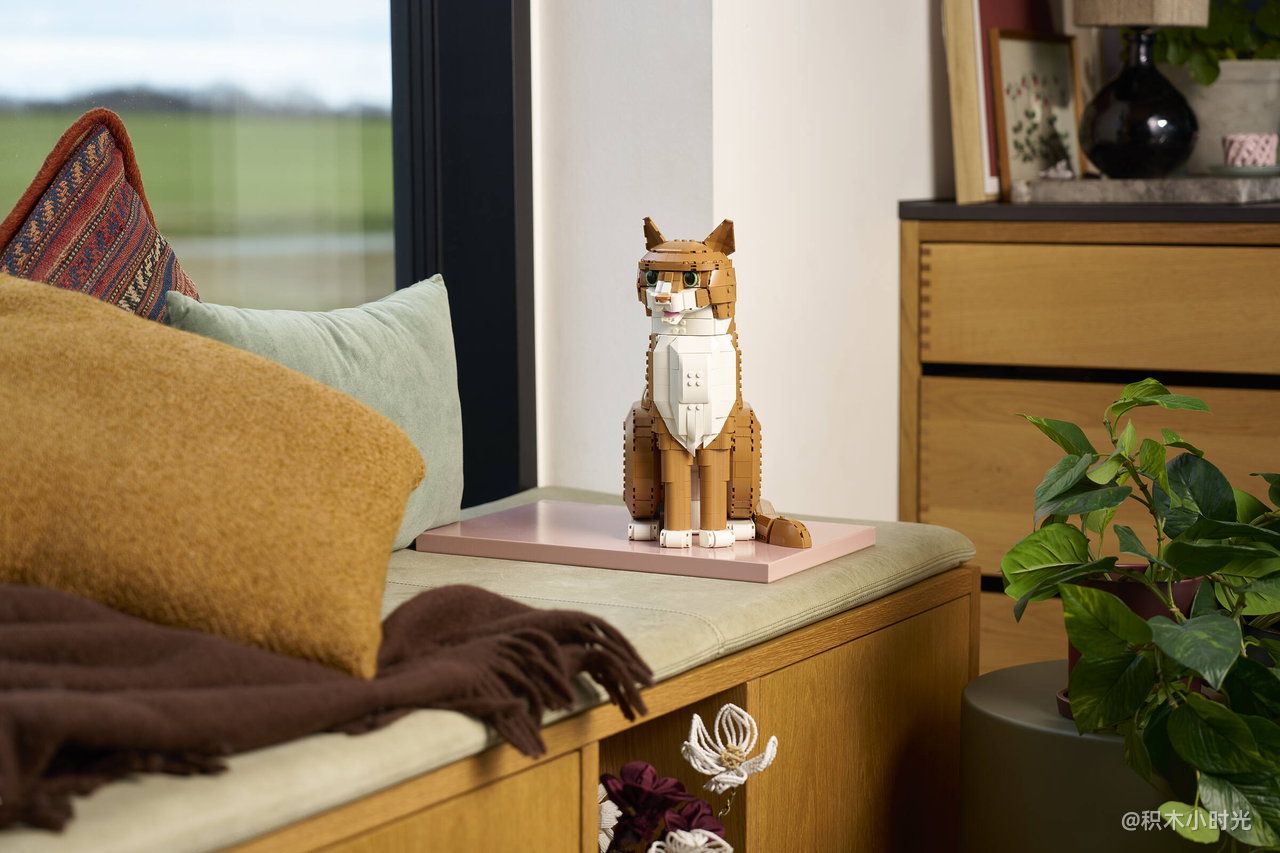 乐高 21376 橙色的猫