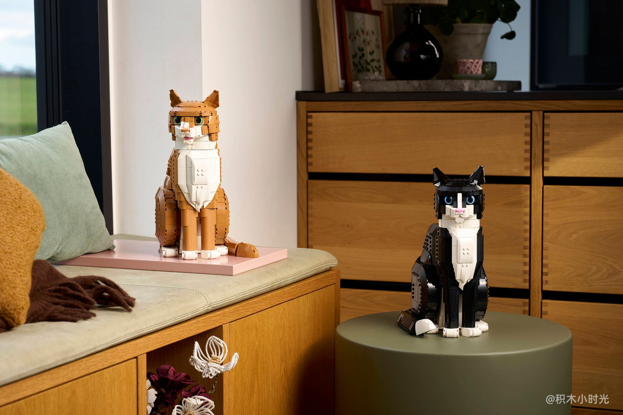 乐高 21376 橙色的猫