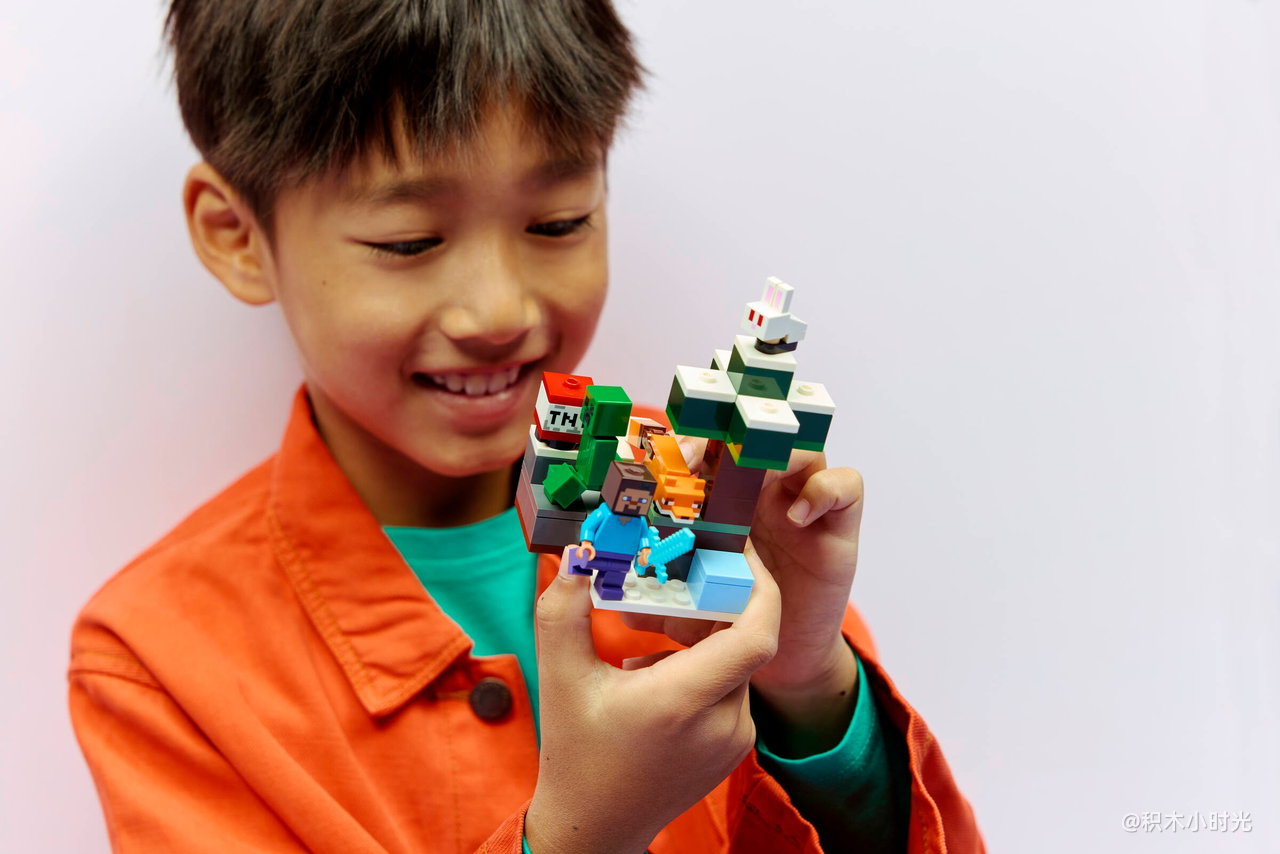 乐高 21583 史蒂夫针叶林冒险