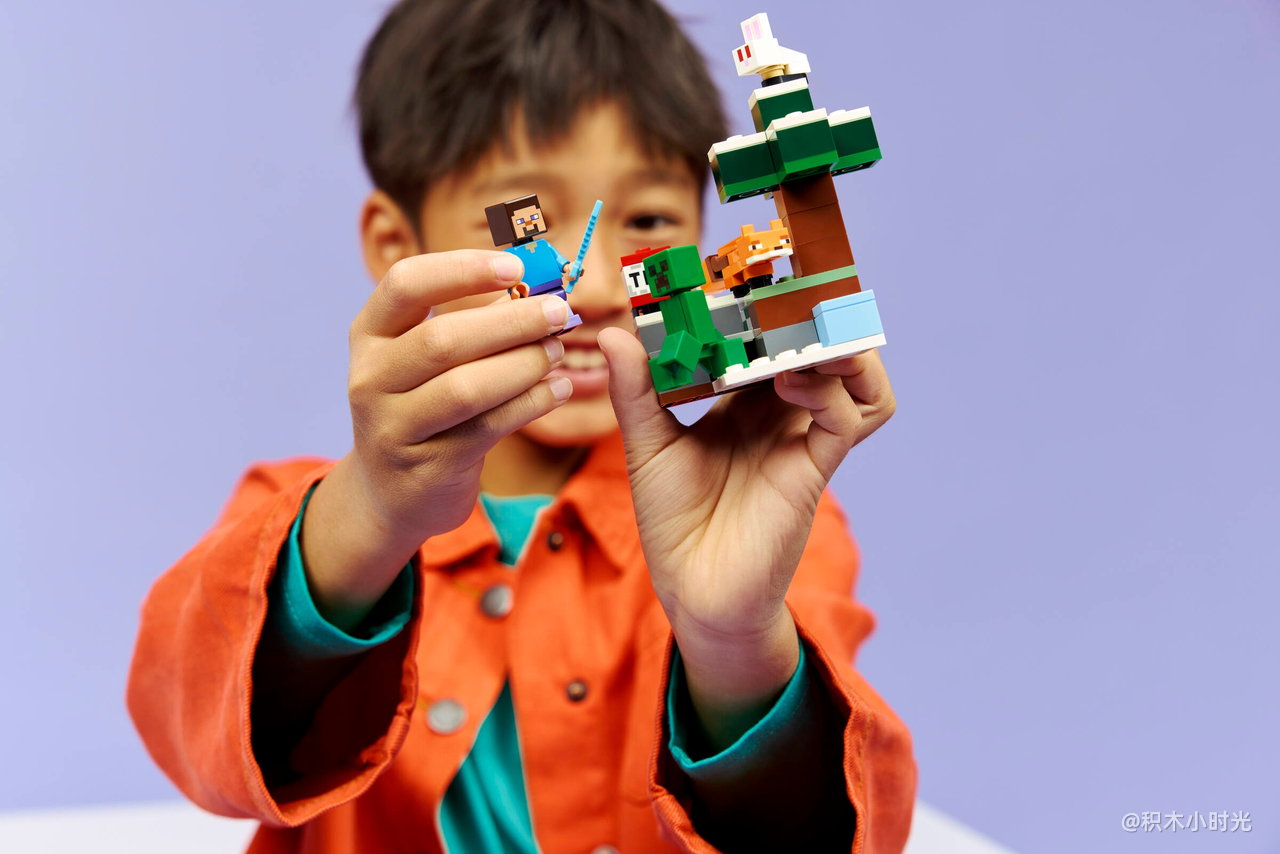 乐高 21583 史蒂夫针叶林冒险