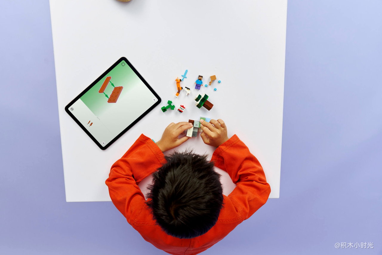 乐高 21583 史蒂夫针叶林冒险