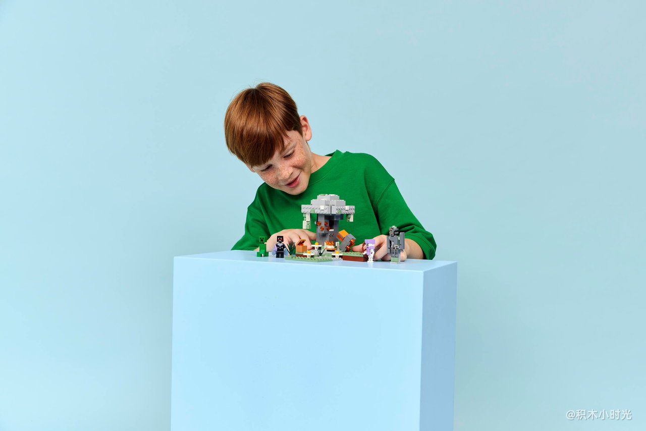 乐高 21586 苍白之园