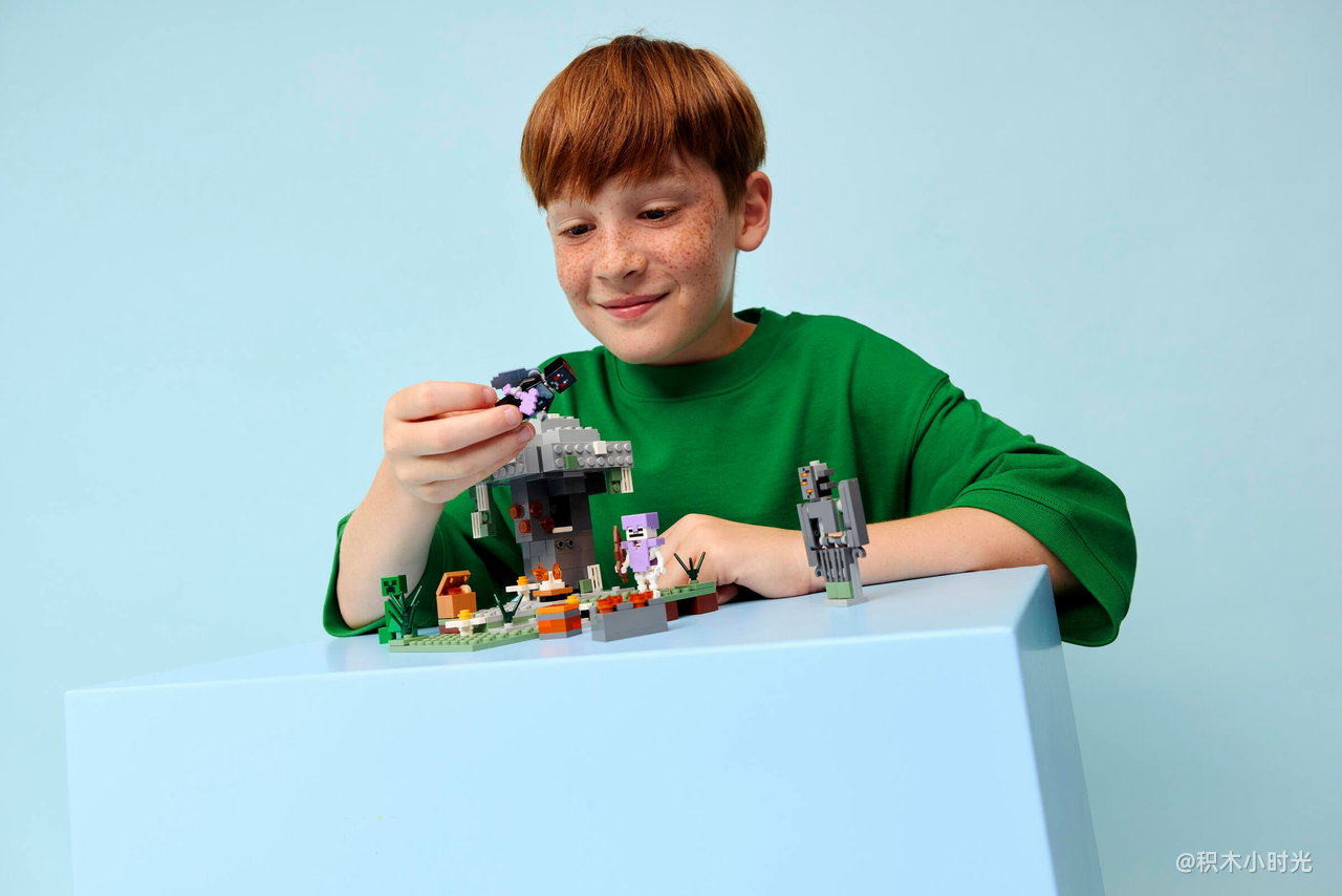 乐高 21586 苍白之园