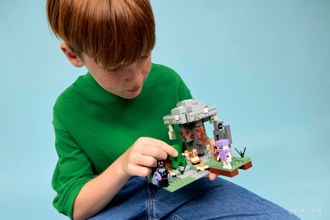 乐高 21586 苍白之园