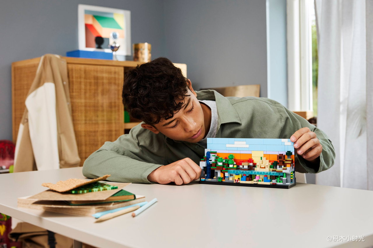 乐高 21589 迷你生物群系