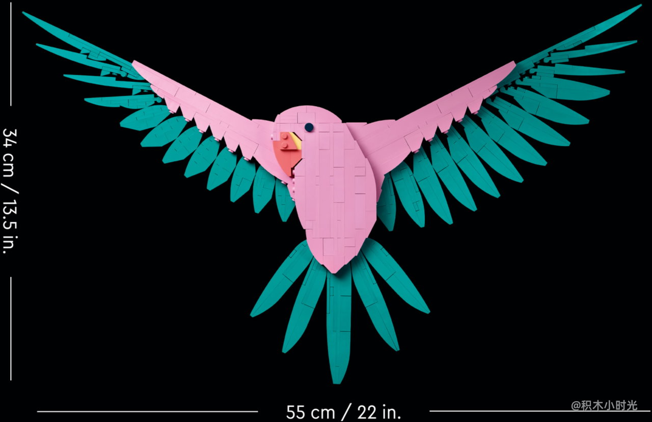 乐高 31211 动物系列——金刚鹦鹉