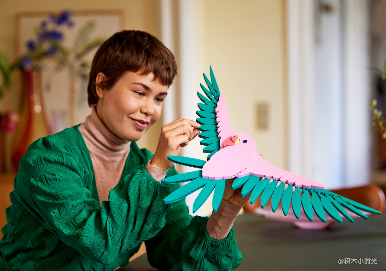 乐高 31211 动物系列——金刚鹦鹉