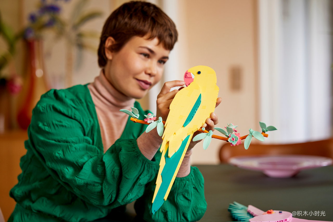 乐高 31211 动物系列——金刚鹦鹉