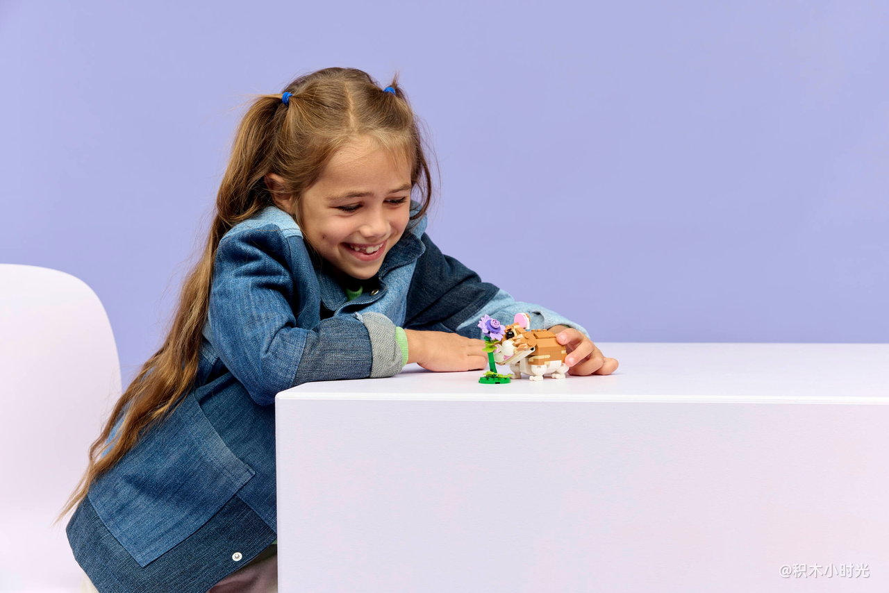 乐高 31376 可爱的仓鼠