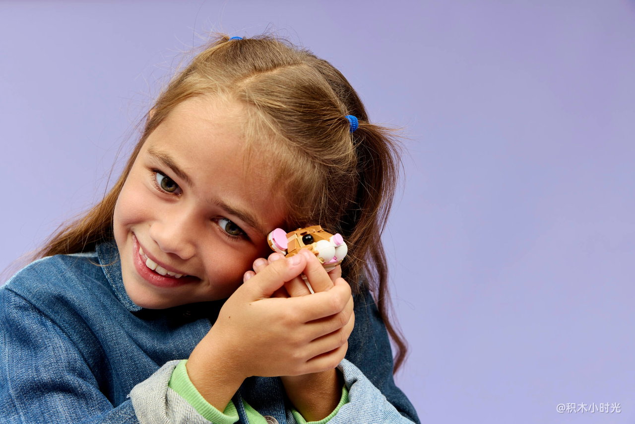 乐高 31376 可爱的仓鼠