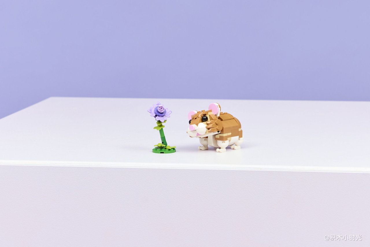 乐高 31376 可爱的仓鼠