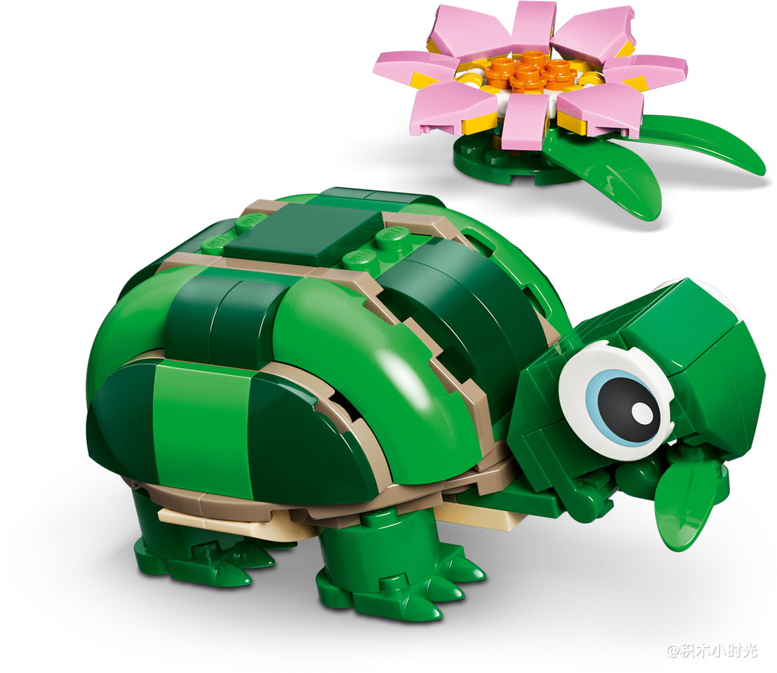 乐高 31377 可爱的海龟