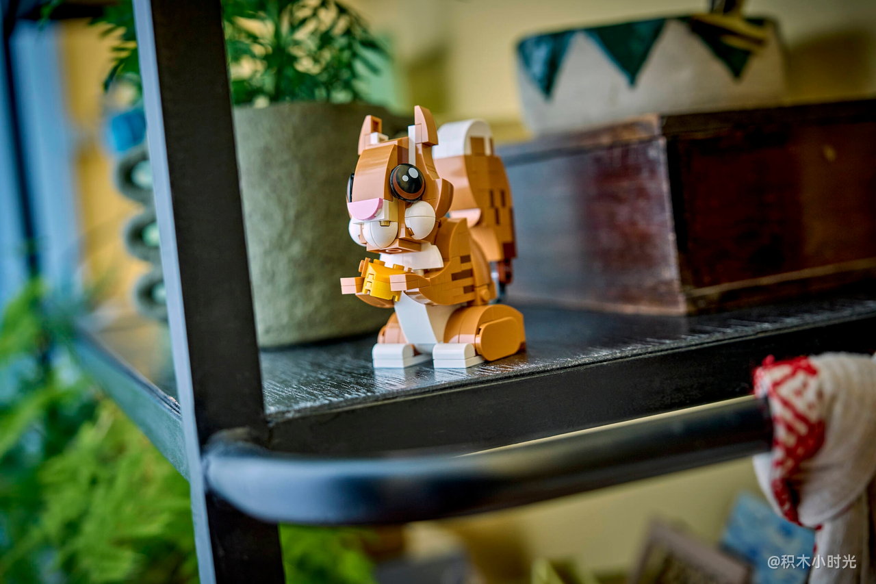 乐高 31382 可爱的动物：顽皮的小狗