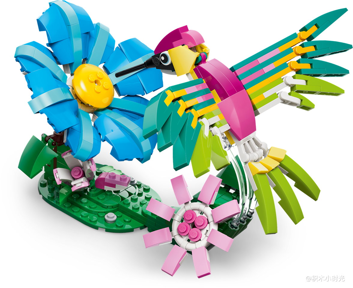 乐高 31384 野生动物：色彩斑斓的蜂鸟