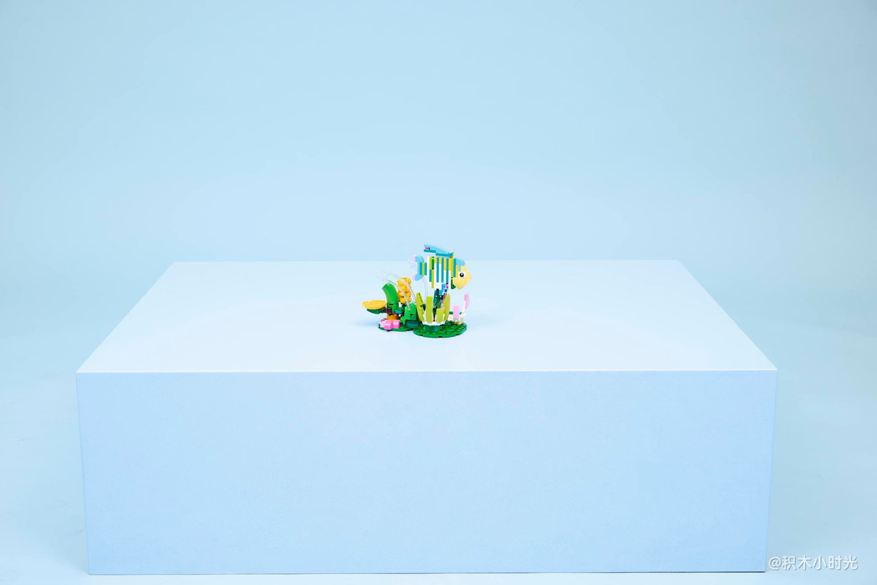 乐高 31384 野生动物：色彩斑斓的蜂鸟