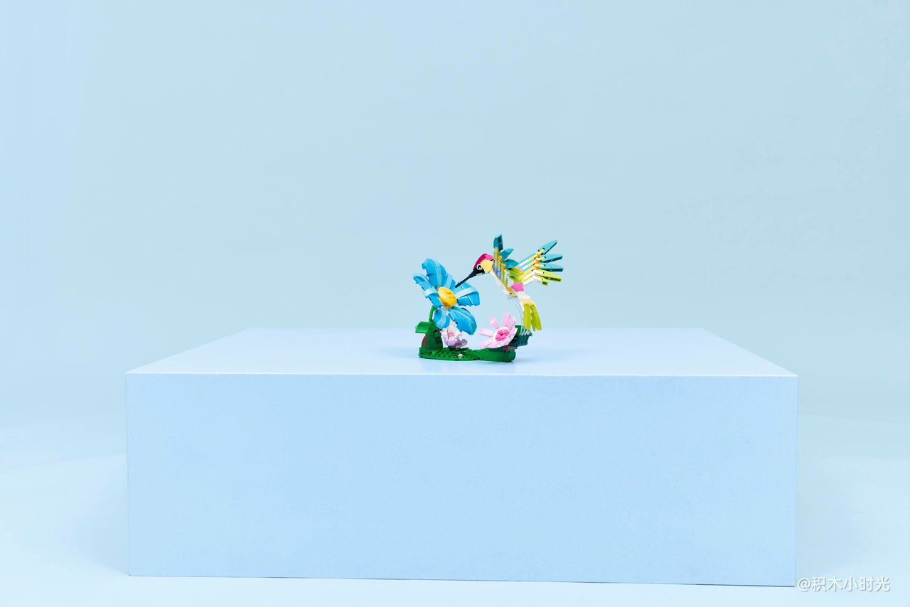 乐高 31384 野生动物：色彩斑斓的蜂鸟