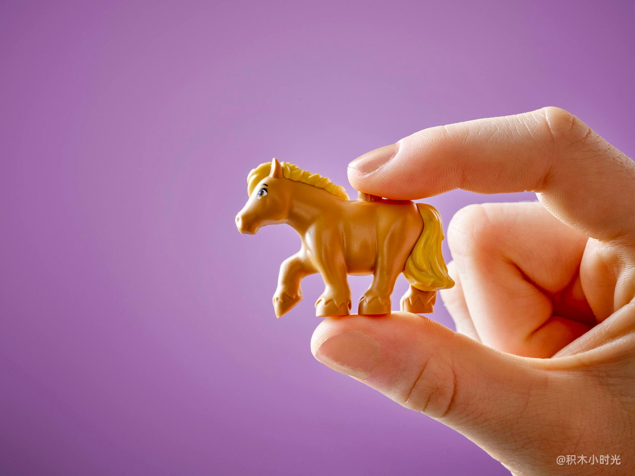 乐高 42654 欢乐马场