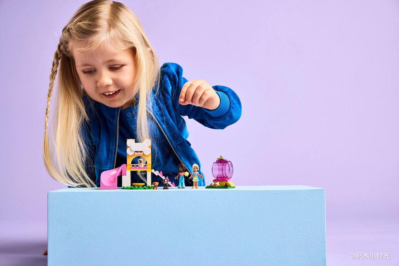 乐高 42665 宠物狗游乐园