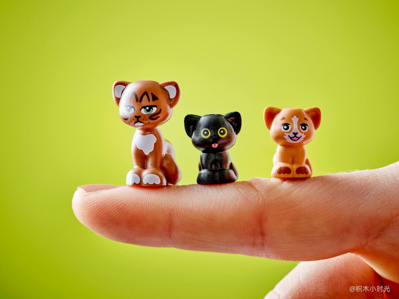 乐高 42666 猫咪生日派对与树屋