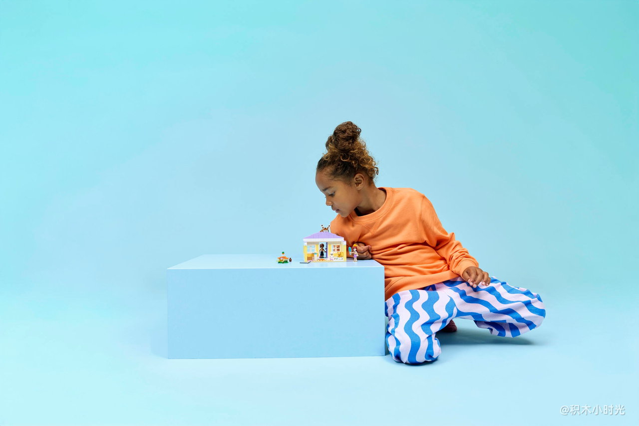 乐高 42679 心湖城兔子酒店