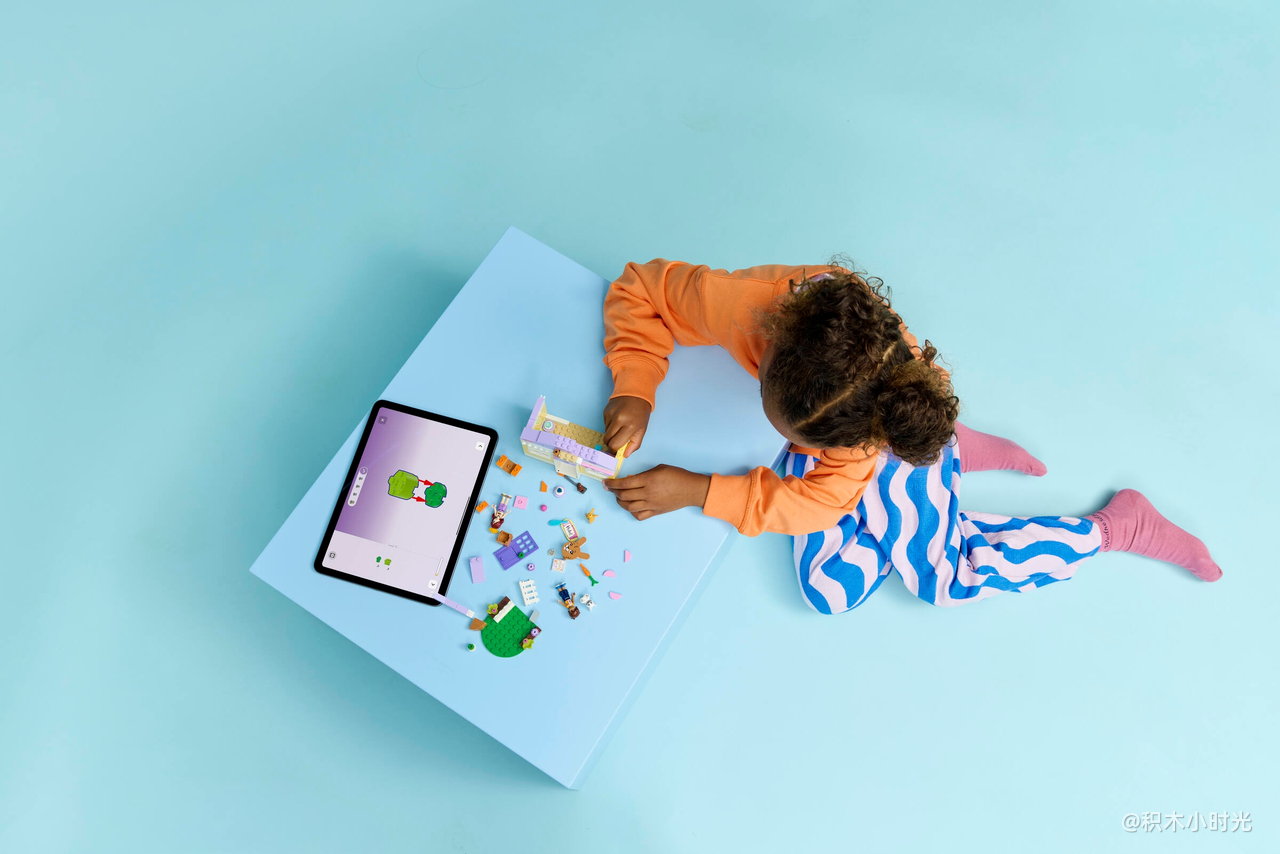 乐高 42679 心湖城兔子酒店