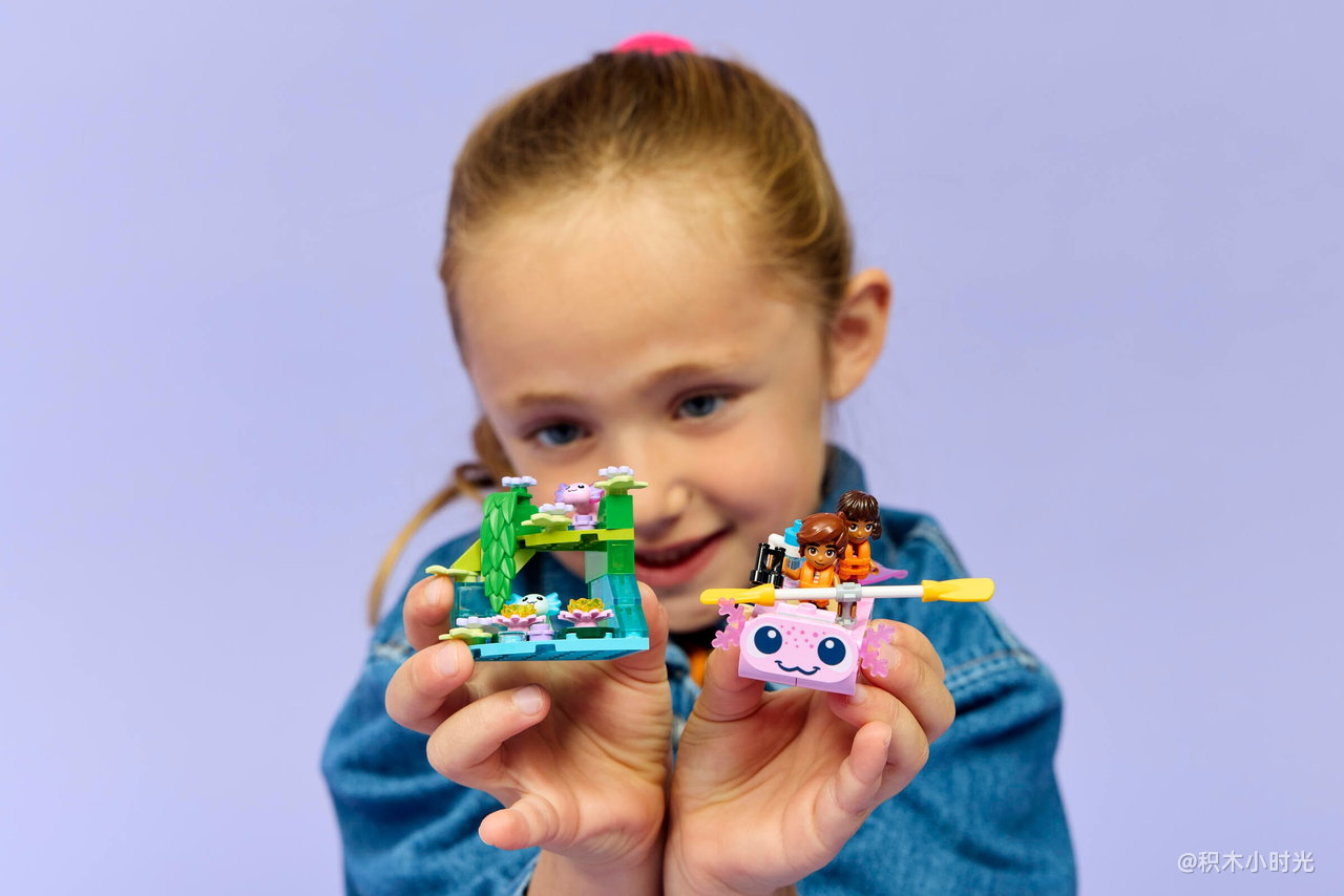 乐高 42681 寻找美西螈的探险船