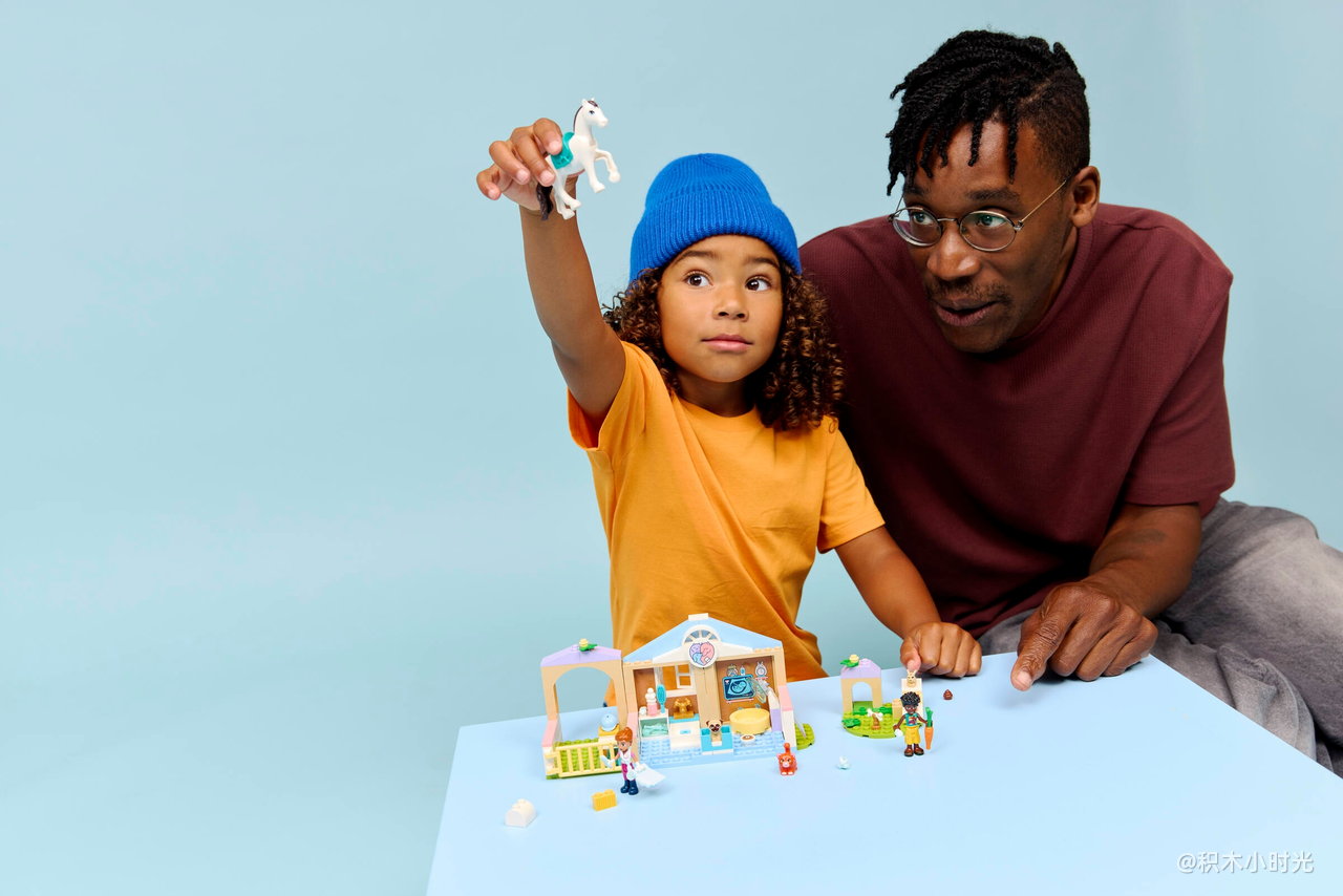 乐高 42696 宠物诊所