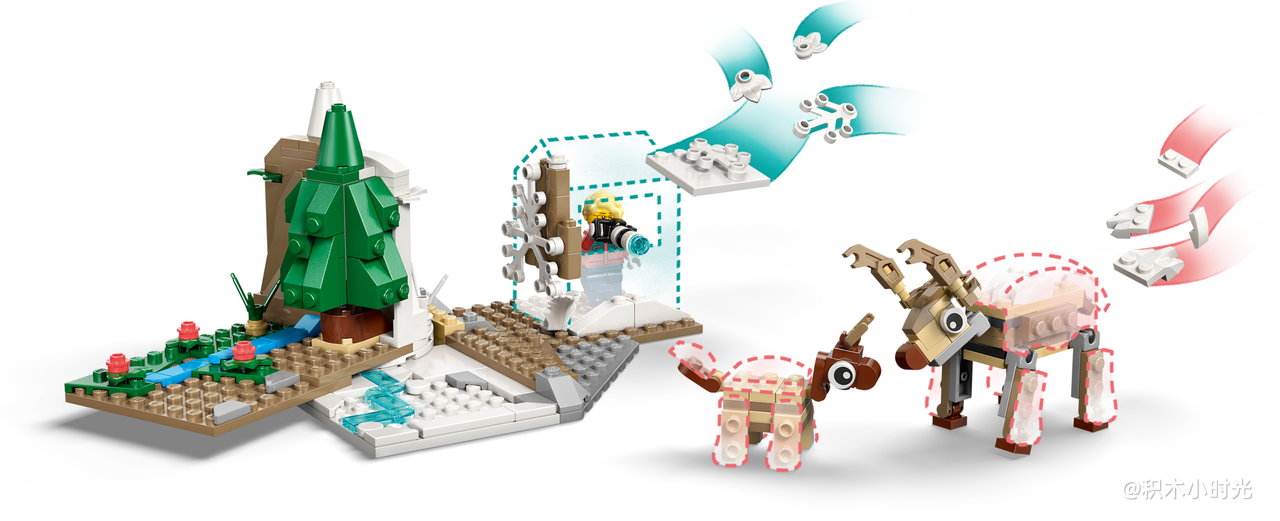 乐高 45203 北极动物科学学习包