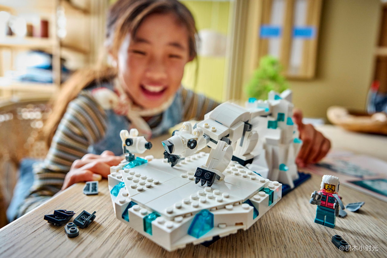 乐高 45203 北极动物科学学习包