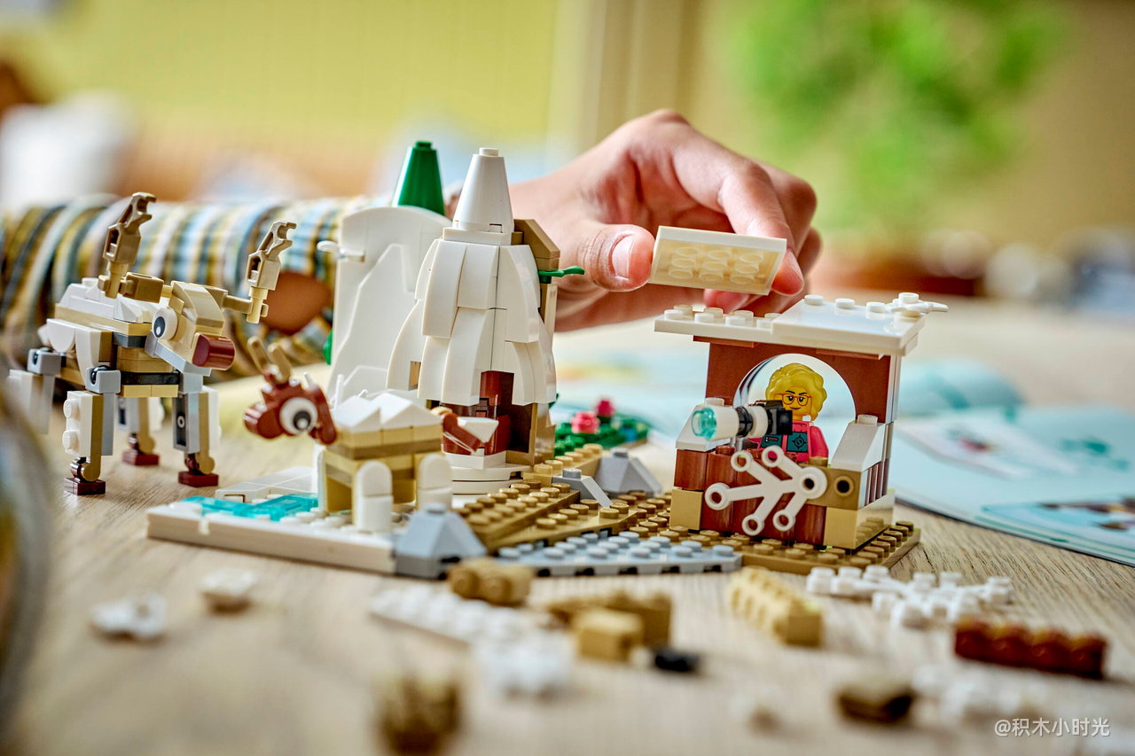 乐高 45203 北极动物科学学习包