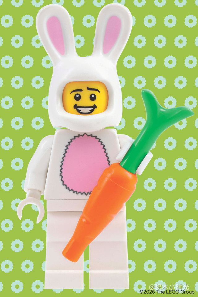 乐高 5009997 Mystery Minifigure Mini Puzzle (Springtime Edition)