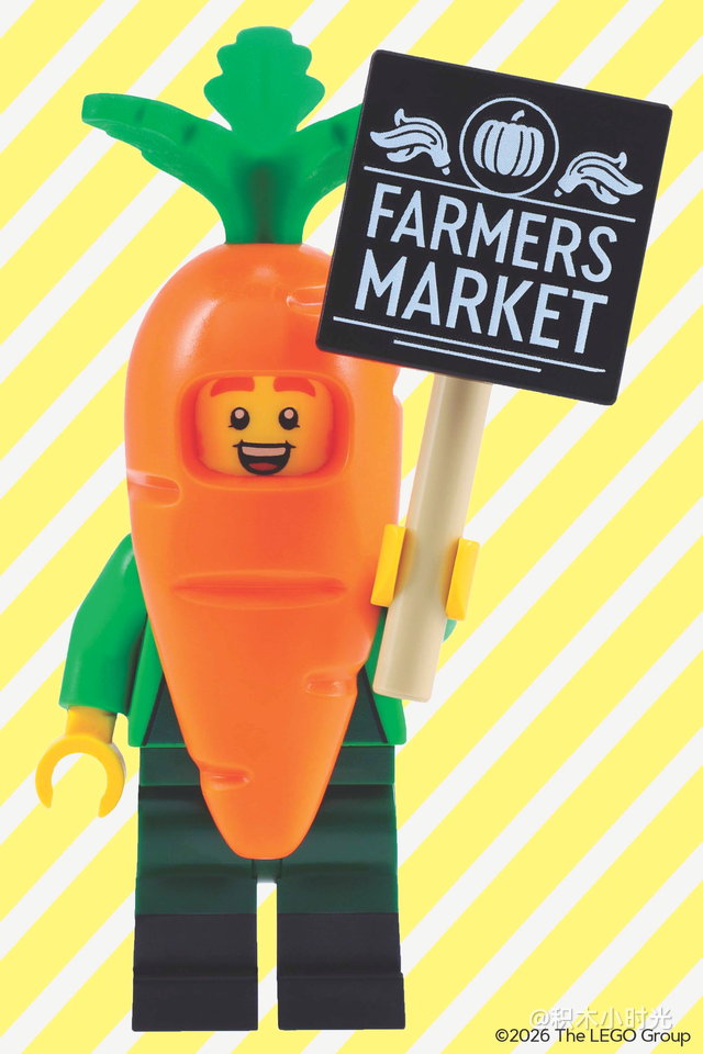 乐高 5009997 Mystery Minifigure Mini Puzzle (Springtime Edition)