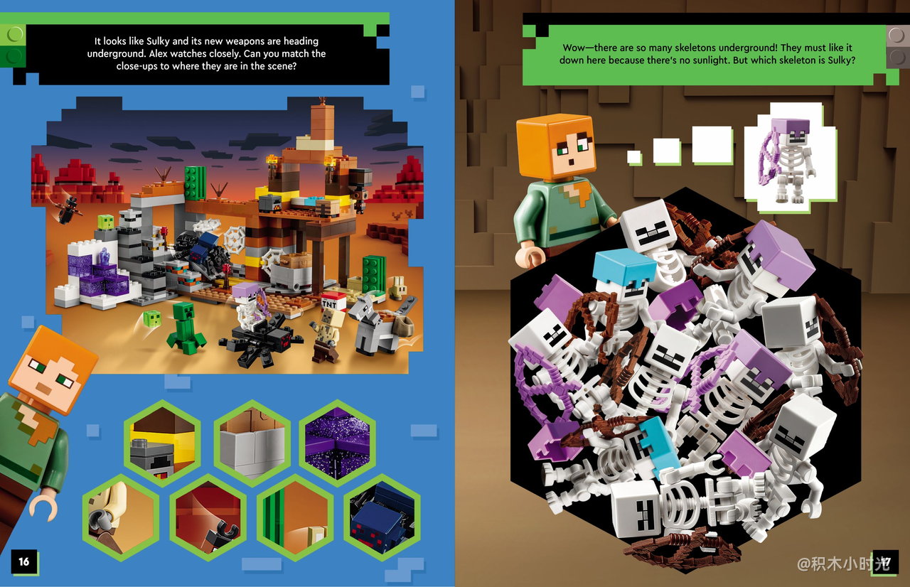 乐高 5010071 SKELETON QUEST LEGO MINECRAFT