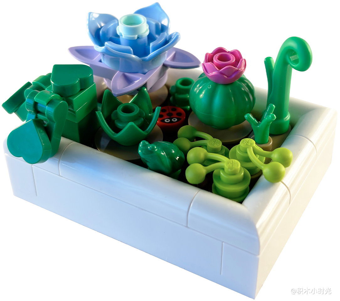 乐高 5010077 Tiny Desert Garden