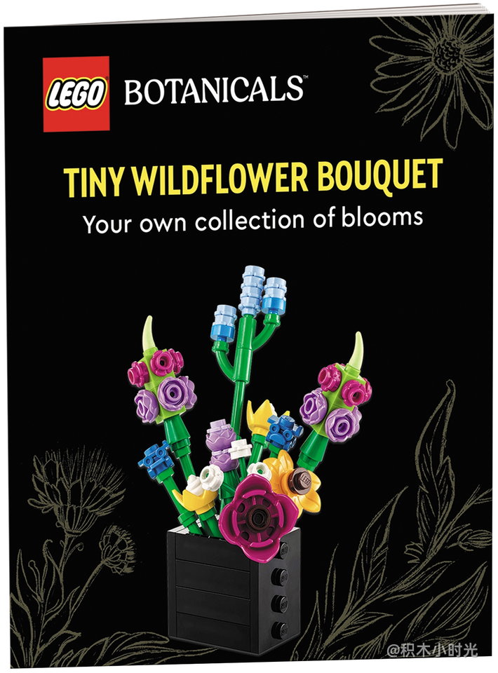 乐高 5010092 Tiny Desert Garden