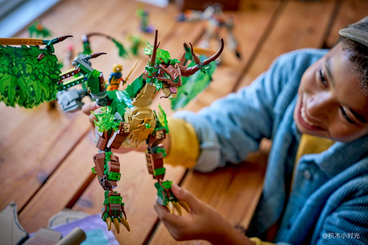 乐高 71859 生命源龙