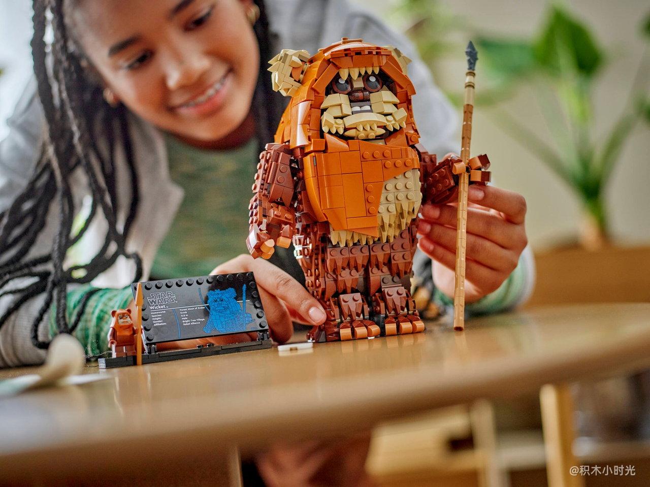 乐高 75430 伊沃克人威基特