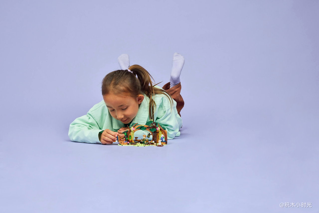 乐高 75687 艾芙芭的隐居地