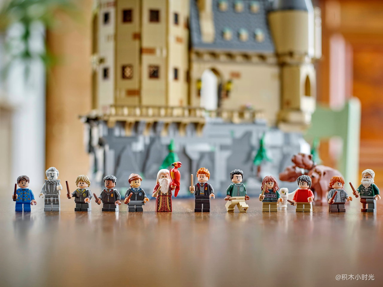 乐高 76454 霍格沃茨™城堡：主塔