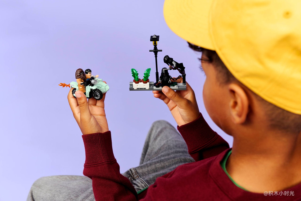 乐高 76459 海格与哈利的女贞路逃生