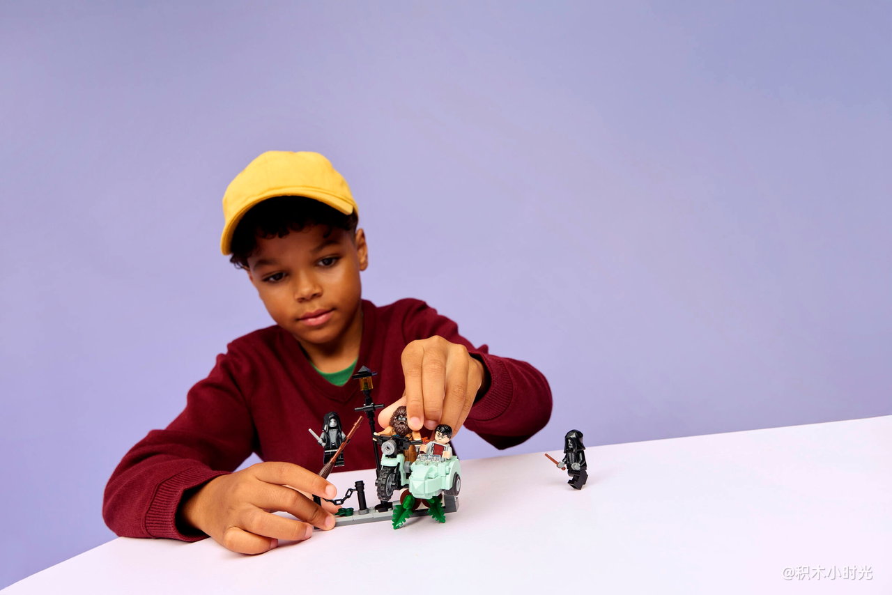 乐高 76459 海格与哈利的女贞路逃生