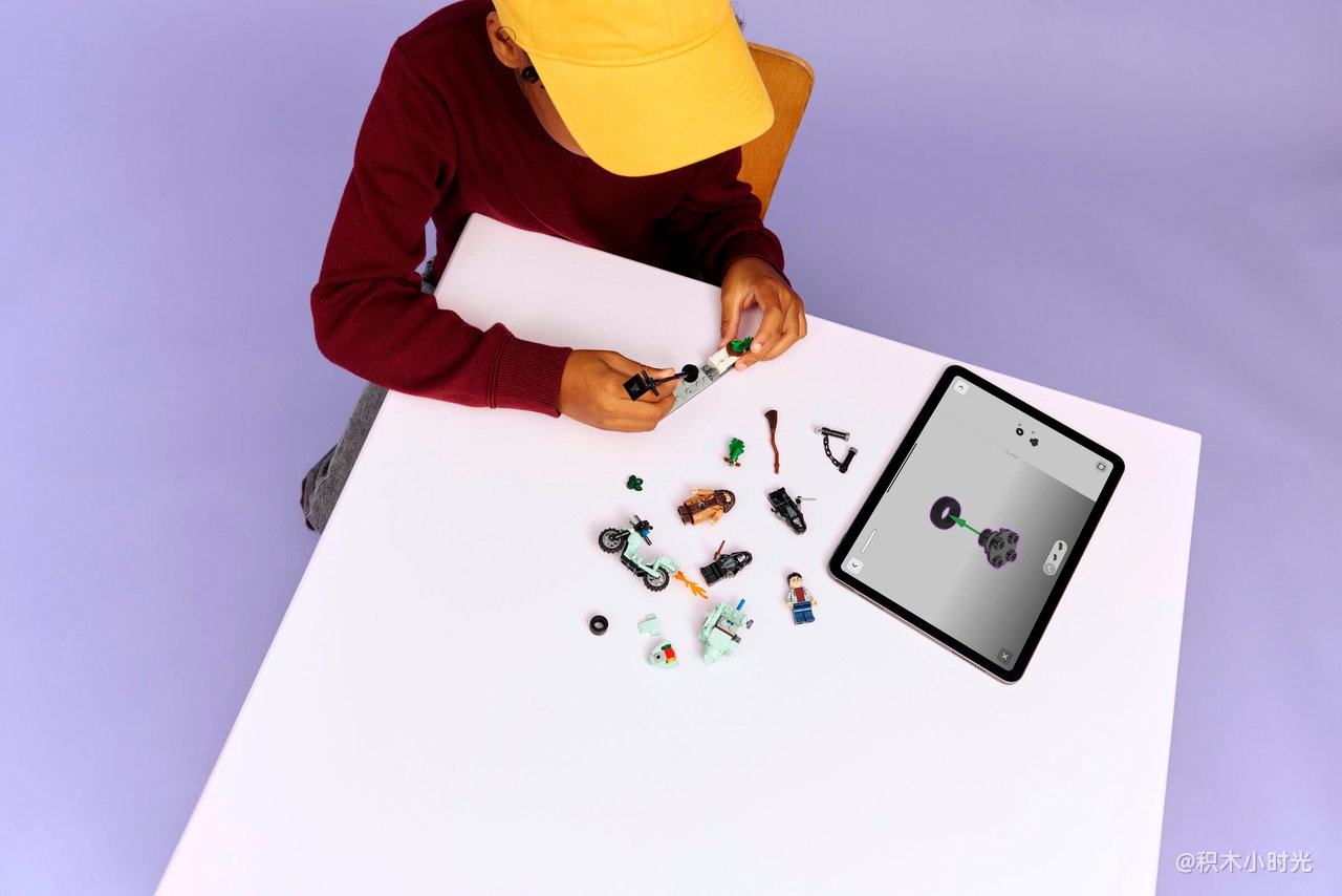 乐高 76459 海格与哈利的女贞路逃生