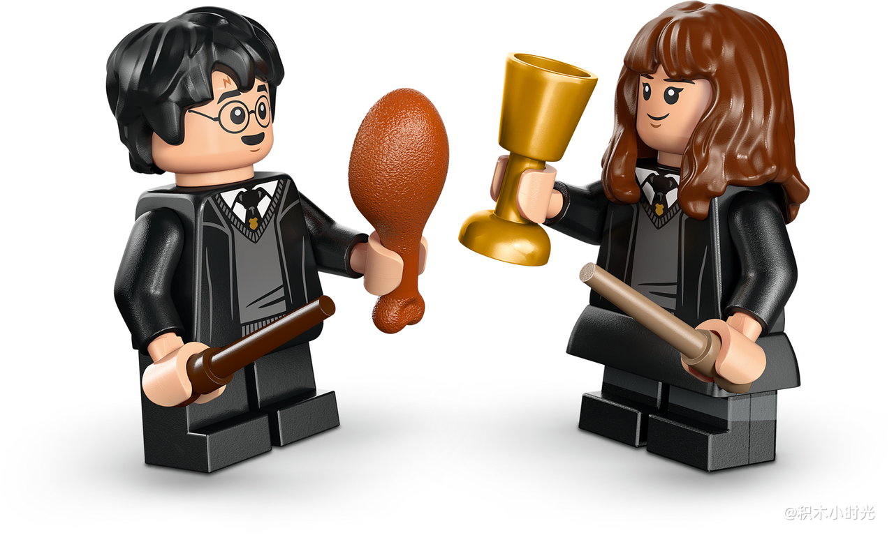 乐高 76460 霍格沃茨城堡：分院仪式