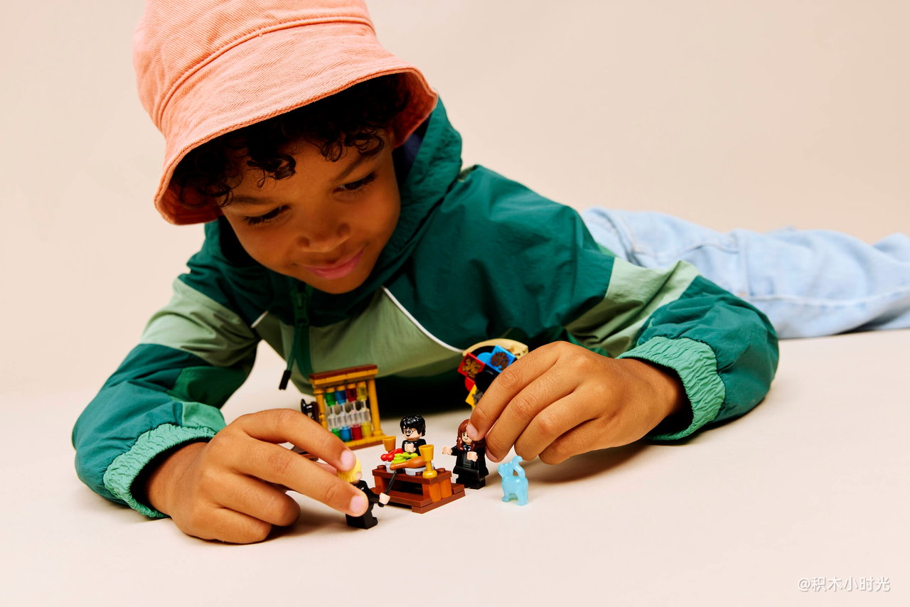 乐高 76460 霍格沃茨城堡：分院仪式