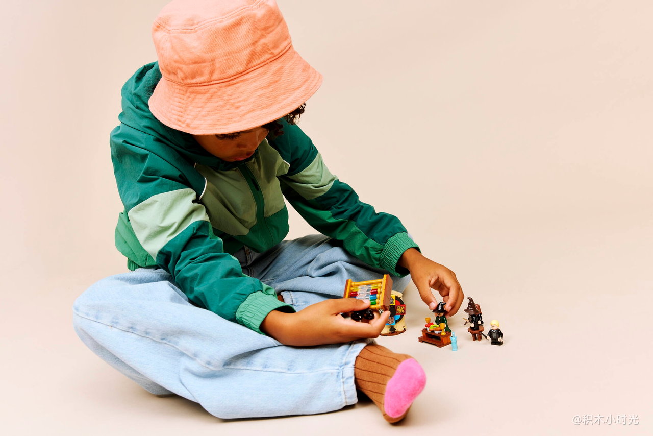 乐高 76460 霍格沃茨城堡：分院仪式